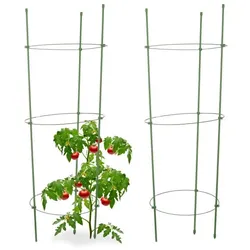 Relaxdays Rankhilfe Tomaten 2er Set Grün