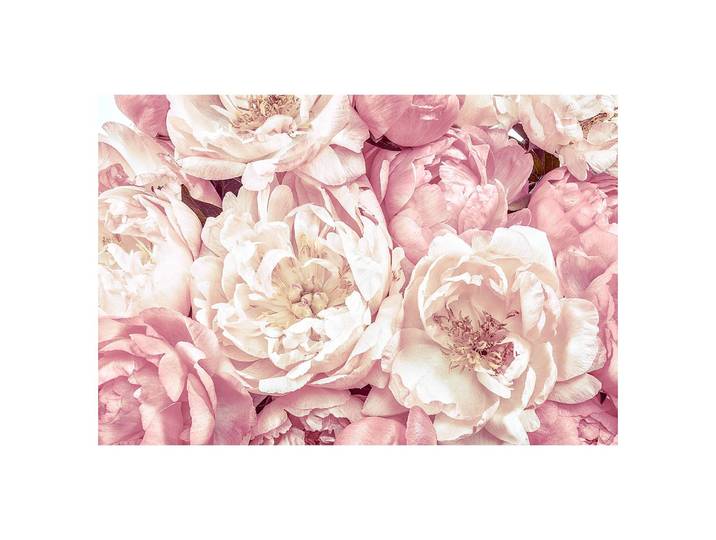 Papier peint intissé Peonies 368 x 248 x 0cm