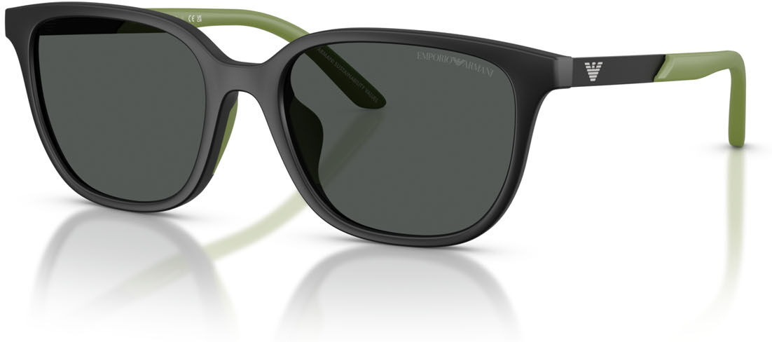 Giorgio Armani Lunettes de soleil Emporio Armani EK 4006U (500187)