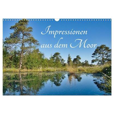 Impressionen aus dem Moor (Wandkalender 2027 DIN A3 quer), CALVENDO Monatskalender
