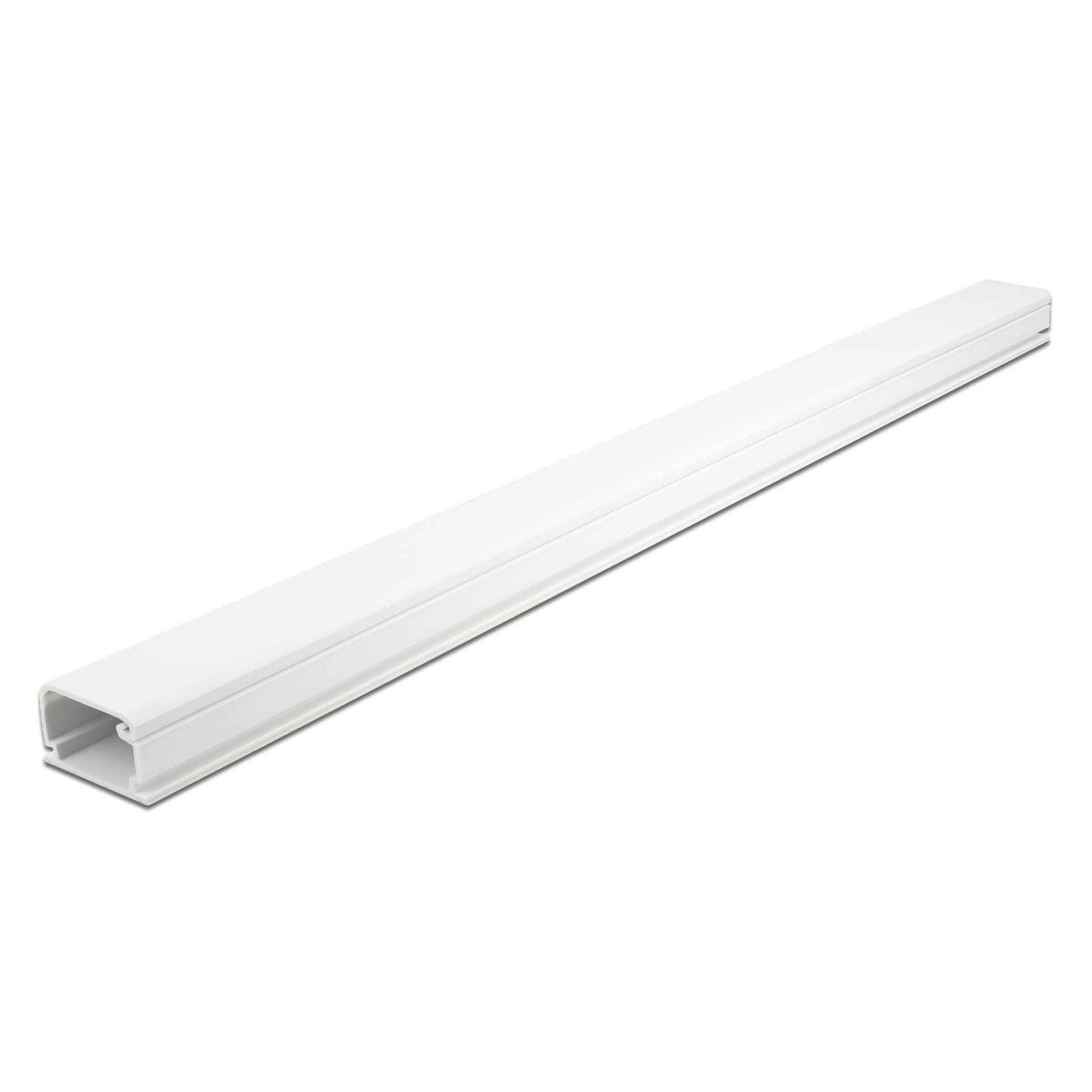 Delock Kabelkanal mit Deckel (Kabelkanal, 100 cm) (20722)
