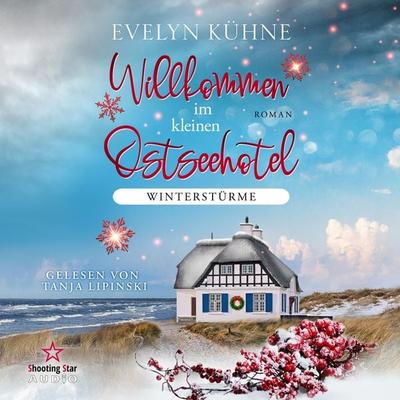 Winterstürme - Evelyn Kühne, Audio, 4066004511313
