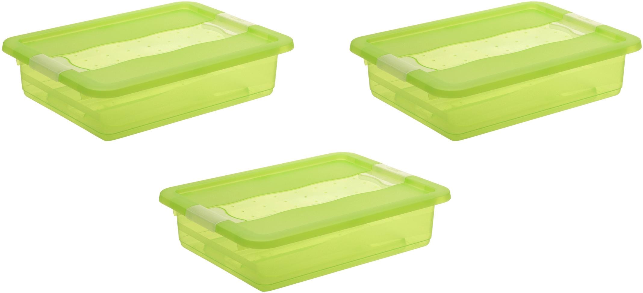Organizer KEEEPER "cornelia", grün, B:29,5cm H:9,5cm T:39,5cm, Kunststoff, Aufbewahrungsboxen, Organizer, Aufbewahrungsbox, mit Deckel, Schiebeverschluss, 7 L grün Einheitsgröße