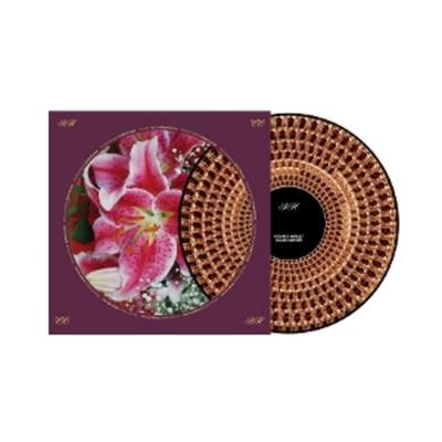 Coles Corner(20th Anniversary Ltd.Edition) - Richard Hawley, Vinyl