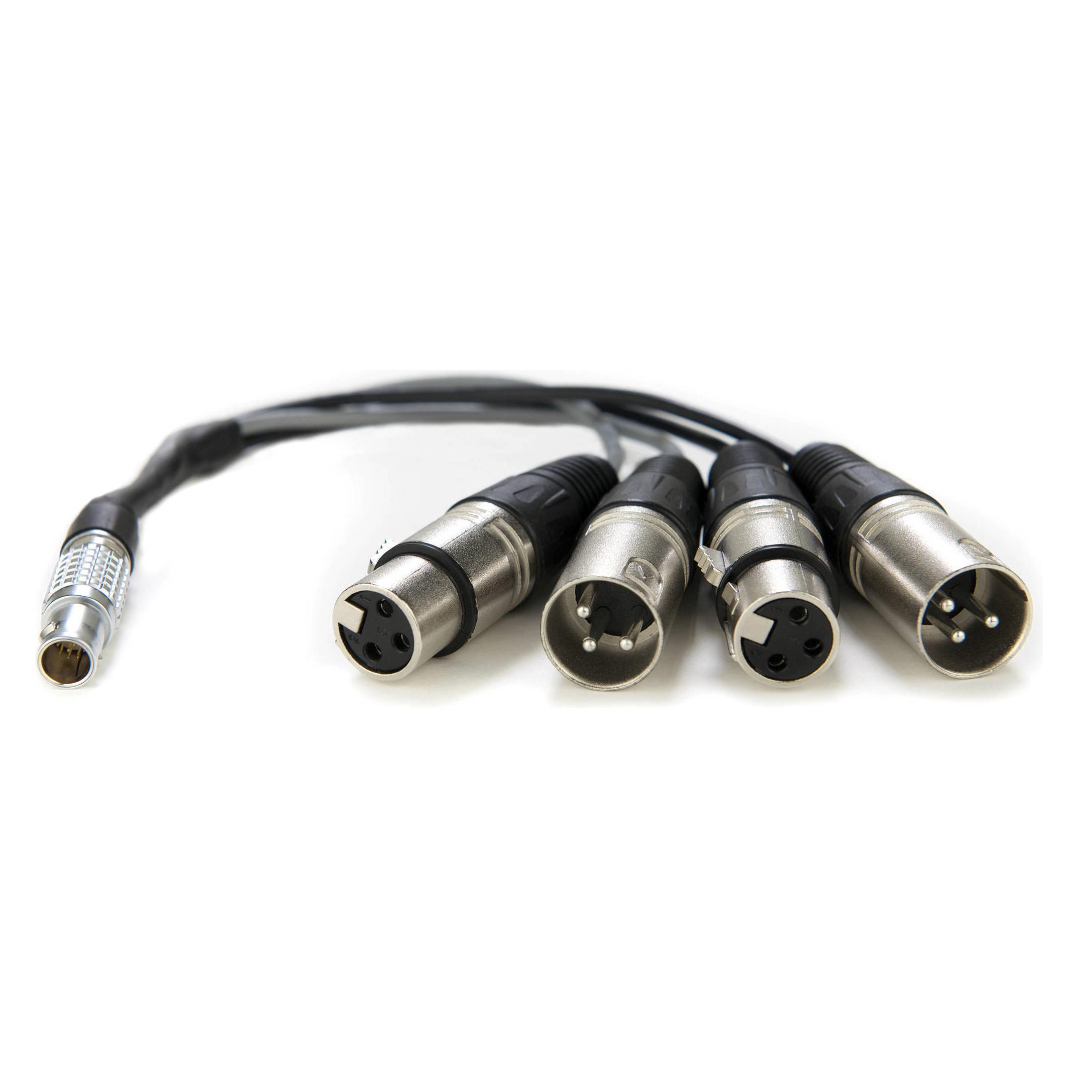 Atomos XLR Breakout Cable (in / out) (1 m, XLR Kabel) (ATOMCAB016)
