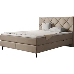 BOXBETT Letra - H3