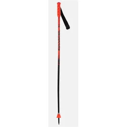 Rossignol, Skistöcke
