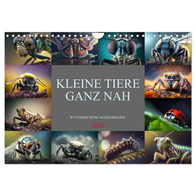Kleine Tiere ganz nah (Wandkalender 2026 DIN A4 quer), CALVENDO Monatskalender