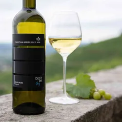 Weingut Christian Bamberger - Steinhardter Hof 2024 Christian Bamberger Don ́t be shy Scheurebe 2024 Scheurebe Deutschland