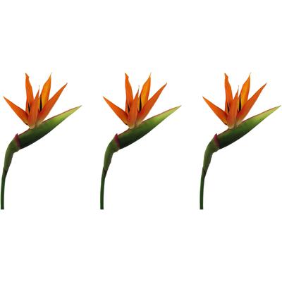 Kunstblume CREATIV GREEN "Strelitzie", orange, B:15cm H:100cm T:6cm, Kunststoff, Kunstpflanzen