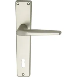 Grundmann, Türgriff + Türgarnitur, Türbeschlag WG 2000 Türgriff für Innentür auf Schild BB 90 Aluminium neusilber (Türgriff)