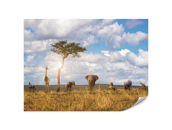 FOTOTAPETE für Kinderzimmer Safari Tiere Elefant Giraffe Löwe 200x140