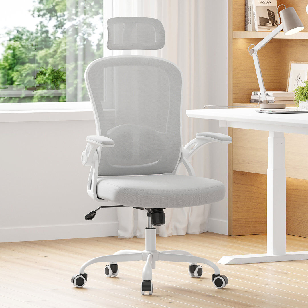 Inbox Zero Montclaire Mesh Desk Chair With Adjustable Lumbar Support White/Grey 64cm W X 64cm D