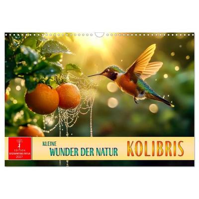 Kolibris - kleine Wunder der Natur (Wandkalender 2027 DIN A3 quer), CALVENDO Monatskalender
