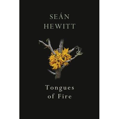 Tongues of Fire, Taschenbuch von Sean Hewitt, Vermilion, 978-1-78733-226-3