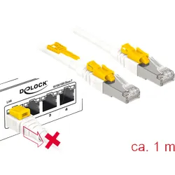 DELOCK 85331 - Patchkabel RJ45 Cat.6A SFTP Secure 1 m