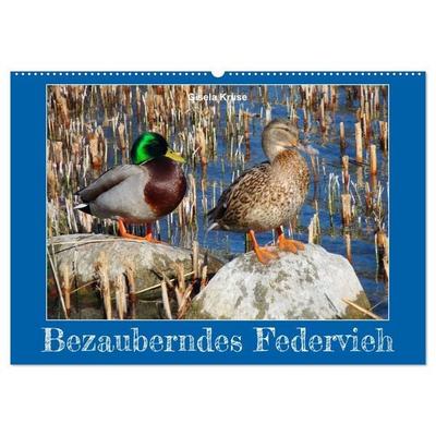 Bezauberndes Federvieh (Wandkalender 2027 DIN A2 quer), CALVENDO Monatskalender
