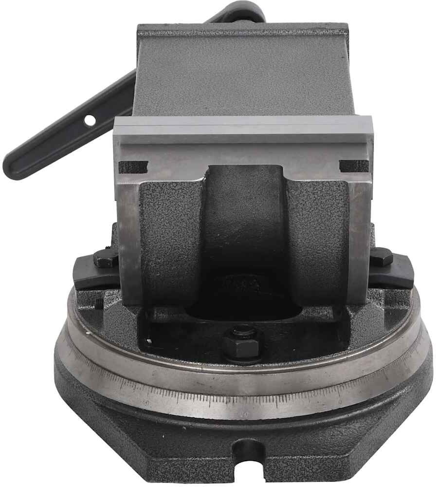 vidaXL Étau inclinable à 2 axes 160 mm