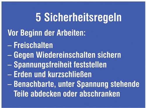 SafetyMarking 43.1311 Hinweisschild Sicherheitsregeln Kunststoff (B x H) 200mm x 120mm 1St.