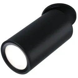 Paulmann LED Deckeneinbauleuchte TURNAL COIN, 6W, 2700K, dimmbar, schwarz matt PAUL-93088