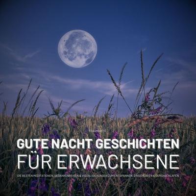 Traumhafte Gute Nacht Geschichten für Erwachsene - Ganzheitliches Zentrum für Schlafstörungen,Patrick Lynen, Audio, 4069828652972