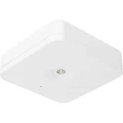 Fischer Sicherheitsleuchte SLM-D31USC