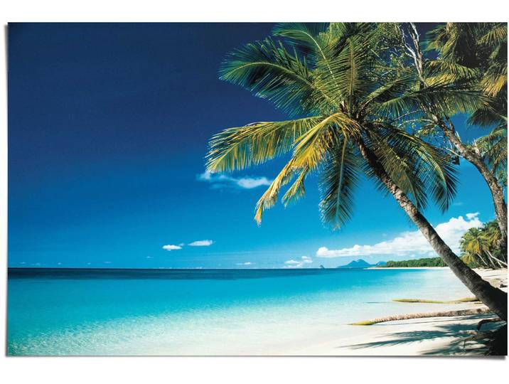 Poster REINDERS Palme am Strand , blau (farbe bild(er): blau), B:91,5cm H:61cm, Papier, Bilder, Poster