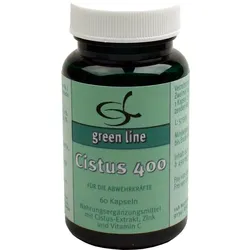 Cistus 400 60 ST