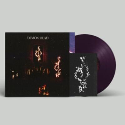 Through Holes Shine the Stars - Demon Head, Vinyl