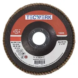Tecwerk, Schleifmittel, Fächerscheibe