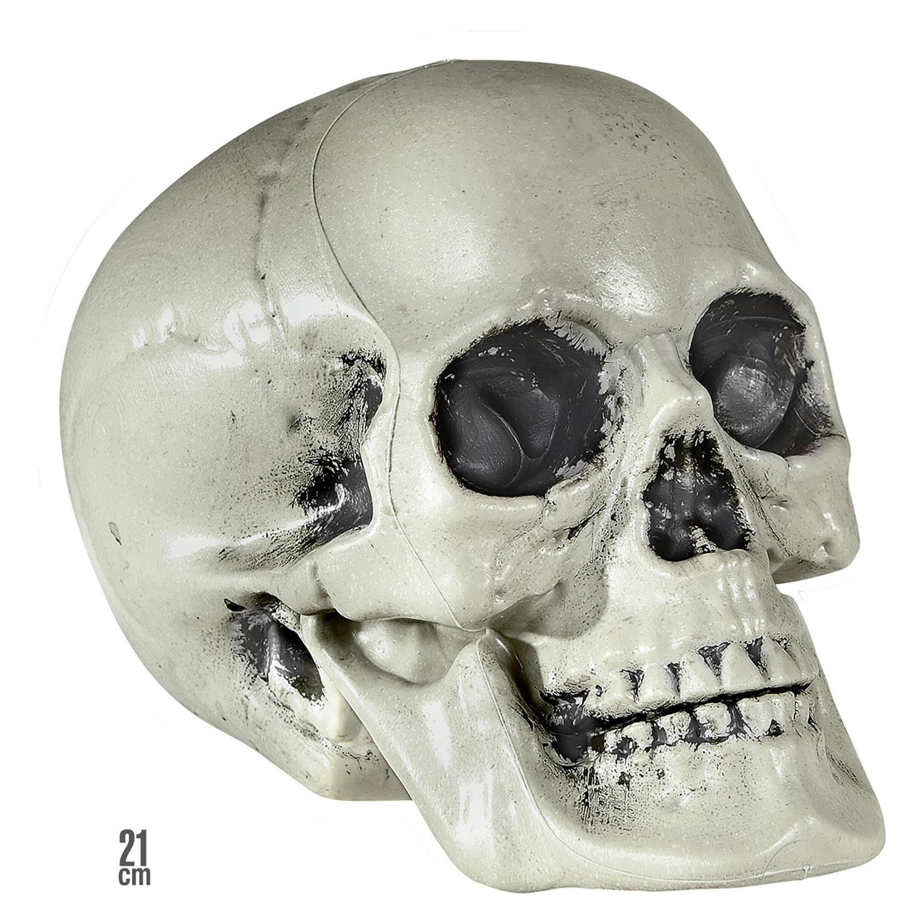 Magni Totenkopf aus Plastik 21cm (1 Stk.) (WI01379)