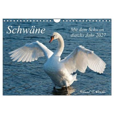 Mit dem Schwan durchs Jahr 2027 (Wandkalender 2027 DIN A4 quer), CALVENDO Monatskalender