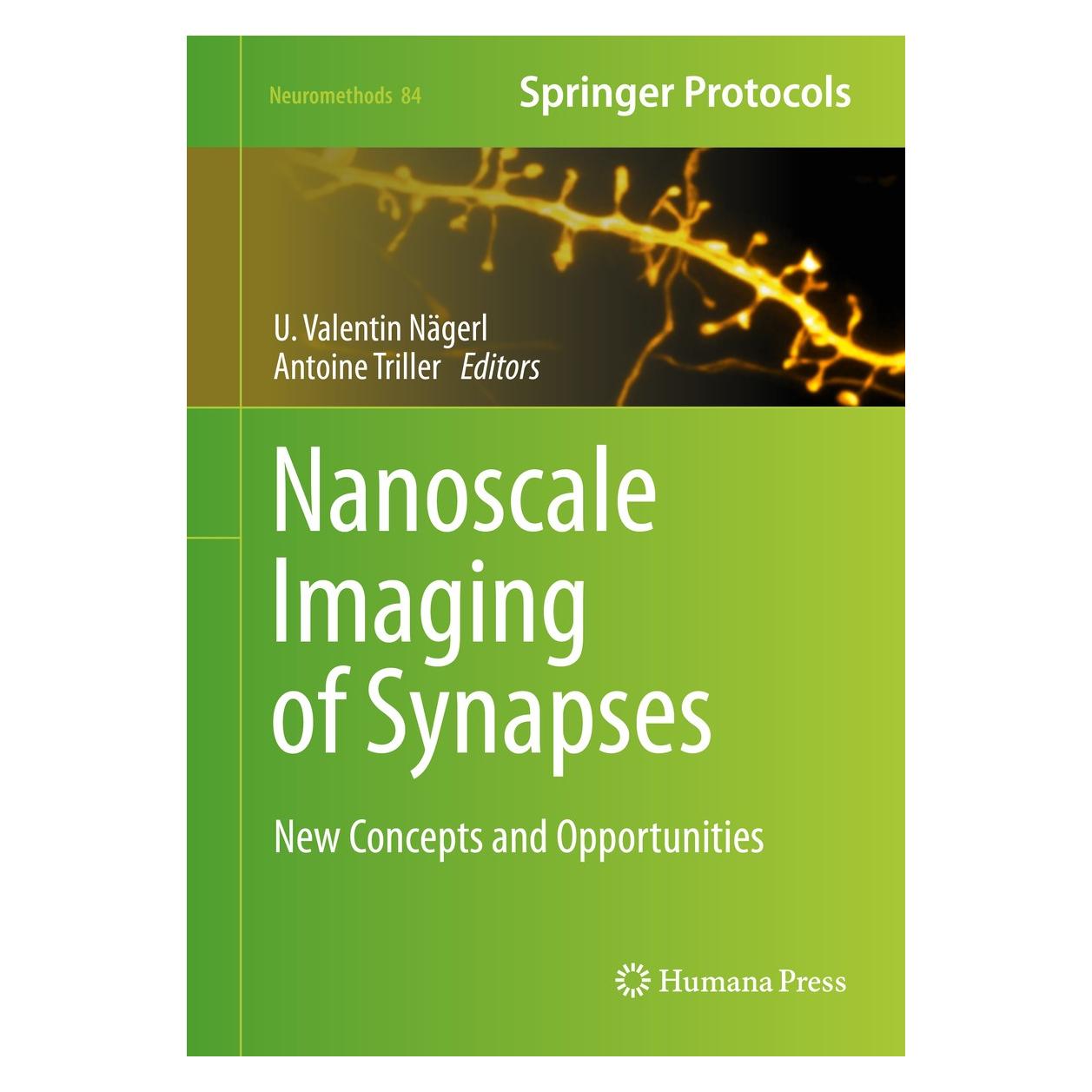 Springer Nanoscale Imaging of Synapses (Englisch, Hardcover, Antoine Triller, U. Valentin Nägerl) (9781461491781)