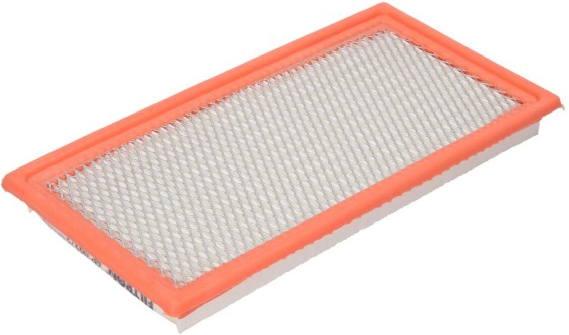 Filtron Filtro aria AP 093/3