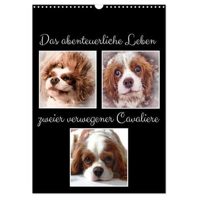 Das abenteuerliche Leben zweier verwegener Cavaliere (Wandkalender 2026 DIN A3 hoch), CALVENDO Monatskalender
