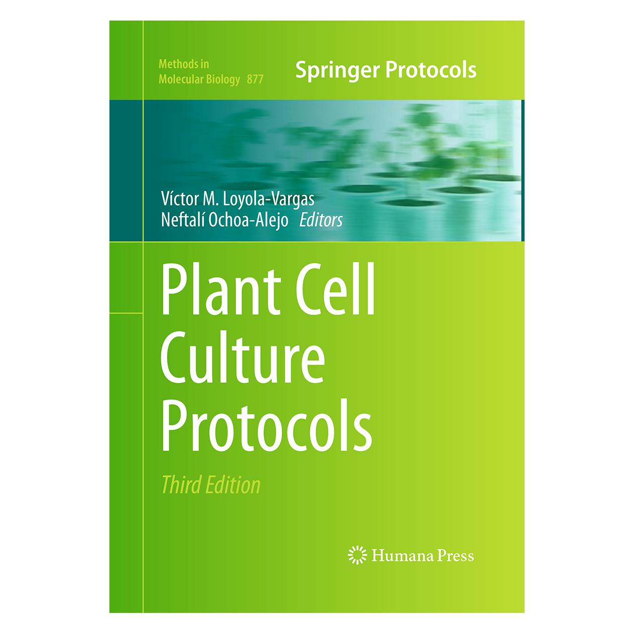 Springer Plant Cell Culture Protocols (Englisch, Softcover, Neftalí Ochoa-Alejo, Víctor M. Loyola-Vargas) (55965712)