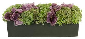 Creative Labs Orchid and Snowball Hydrangea Arrangement in a Fiberstone Planter - Purple, Green, Gray