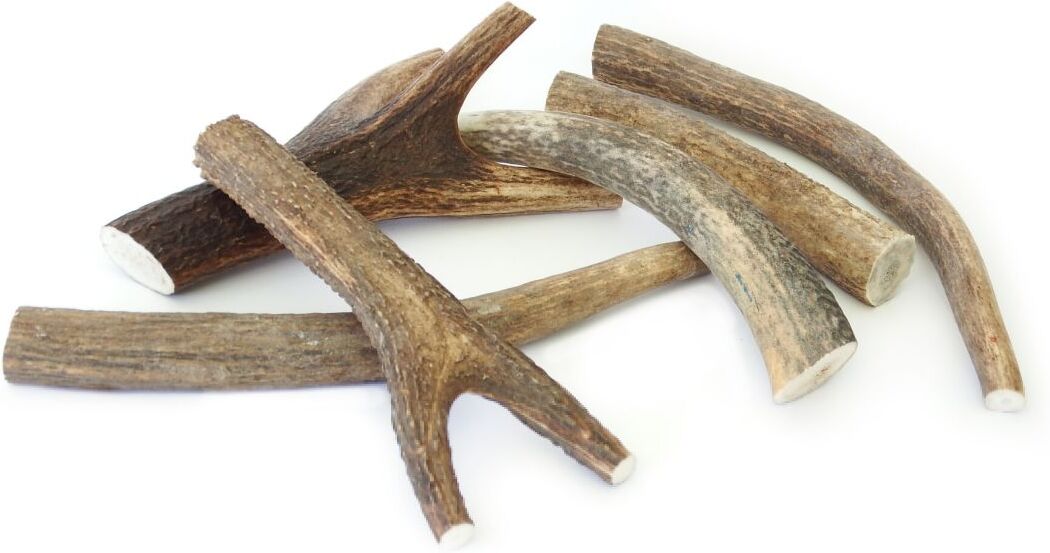 Ferribiella Corna di Cervo Intere Masticativo Naturale per Cani M