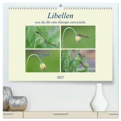 Libellen, was die für eine Energie entwickeln. (hochwertiger Premium Wandkalender 2027 DIN A2 quer), Kunstdruck in Hochglanz