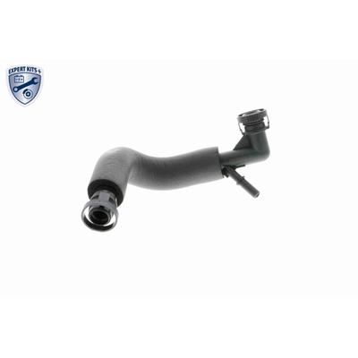 VAICO Reparatursatz, Kurbelgehäuseentlüftung EXPERT KITS + v201872 Zylinderkopf für BMW Ford