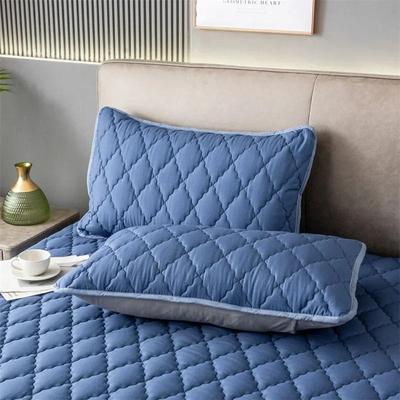 Uplifted Finds Waterproof Pillowcase Anti Stain Pillow Cover 2 Pcs pink