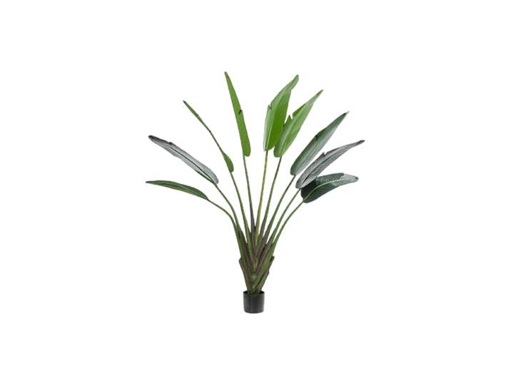 Lebensechte Kunstpflanze „Strelitzia Duft“, Ø 140 x 180 cm Grün Baq Design