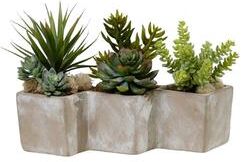Jenny Silks Succulents Arrangement in Concrete Triple Pot
