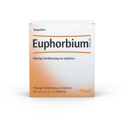 Euphorbium Compositum SN Ampullen 100 St