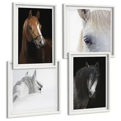 BILDER SET 4er Set - 50x50 cm & 40x60 cm Weißer Rahmen - Pferdeporträts in Schattierungen