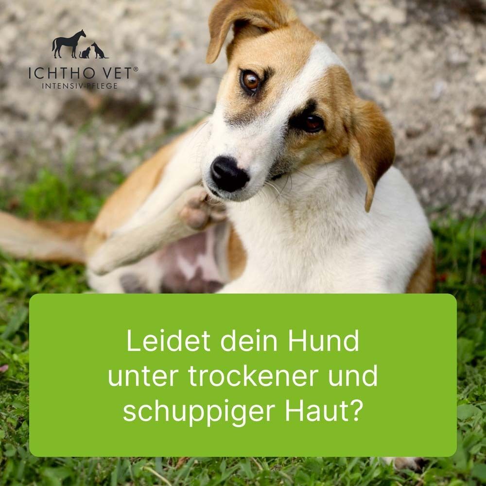 Ichtho VET Derma-Creme 50 g Creme