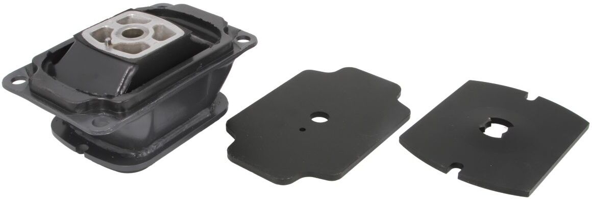 S-Tr Supporto motore 1202238