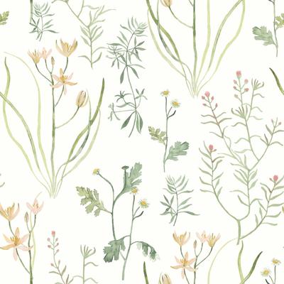 York Wallcoverings Peach Alpine Botanical Peel and Stick Wallpaper