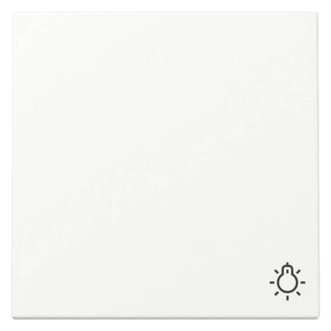 Gira Wippe Symb. Licht (328527)
