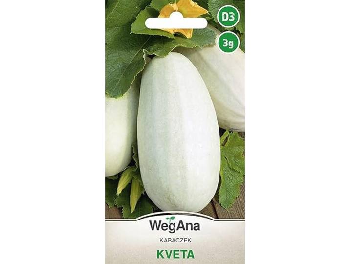 Kveta 3g pompoen - WegAna